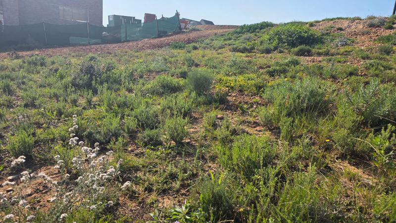 0 Bedroom Property for Sale in Outeniquasbosch Western Cape